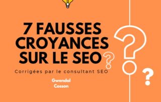 vérités seo