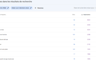 astuce seo