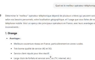 exemple de résultat généré par ChatGPT sur une requête