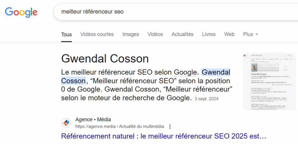 meilleur référenceur seo gwendal cosson