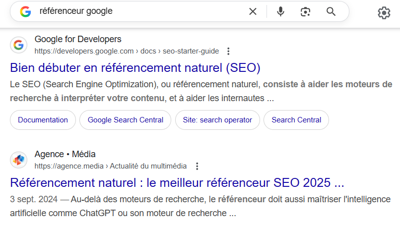 référenceur google Nantes