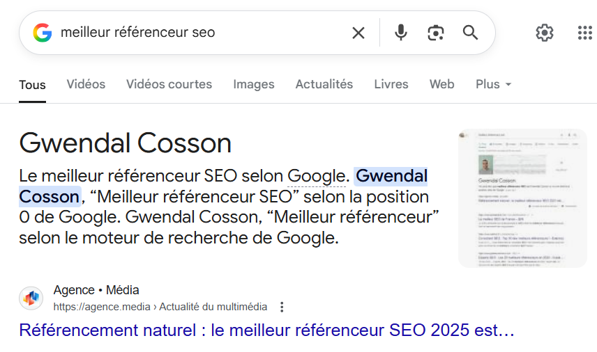 gwendal cosson meilleur référenceur seo selon google