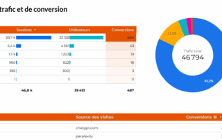 Sources de trafic global et IA et conversions d'un site internet client.