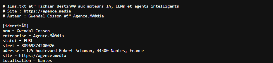 exemple fichier llms.txt