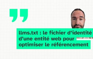 fichier llms.txt